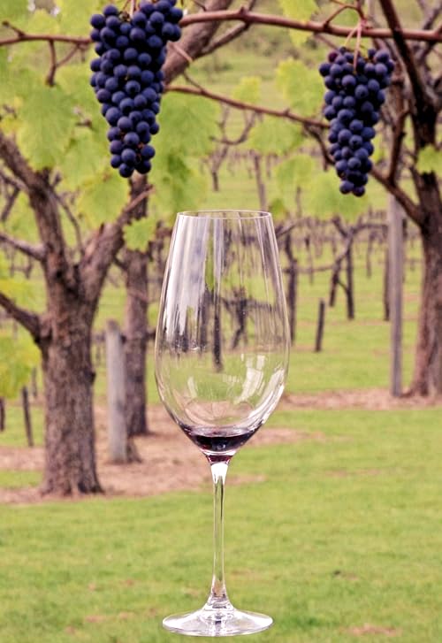 Wine Country Traveler