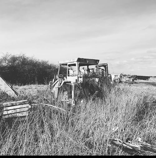 Norfolk Farmer Ash