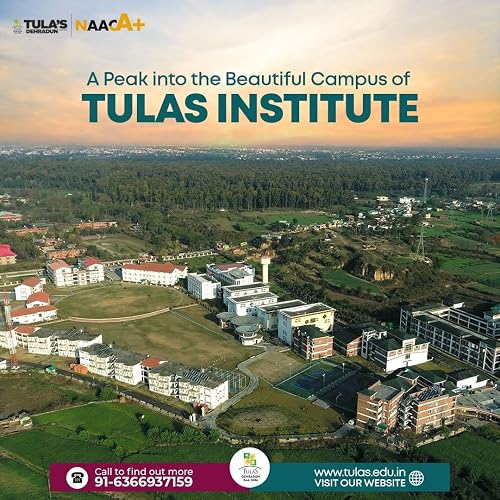 Tulas: Your Path to Success