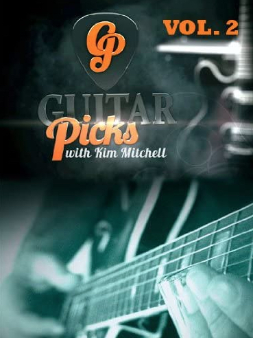 Guitar Picks