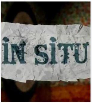 In Situ