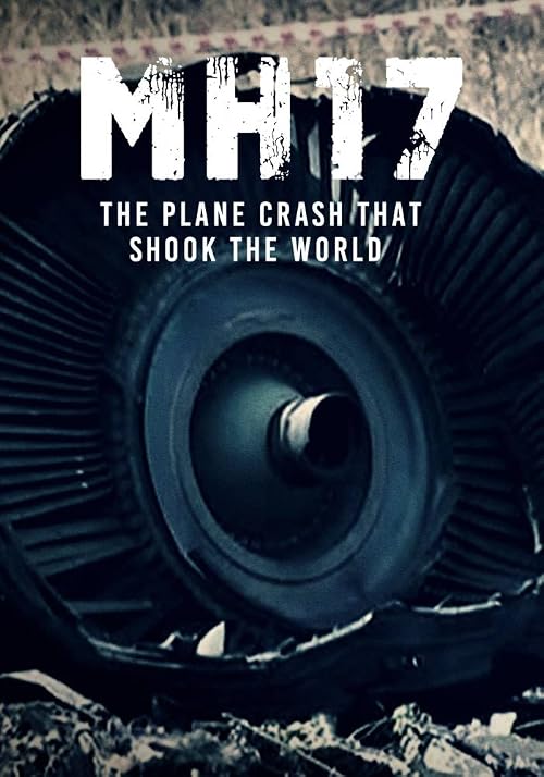 MH17: The Plane Crash That Shook the World