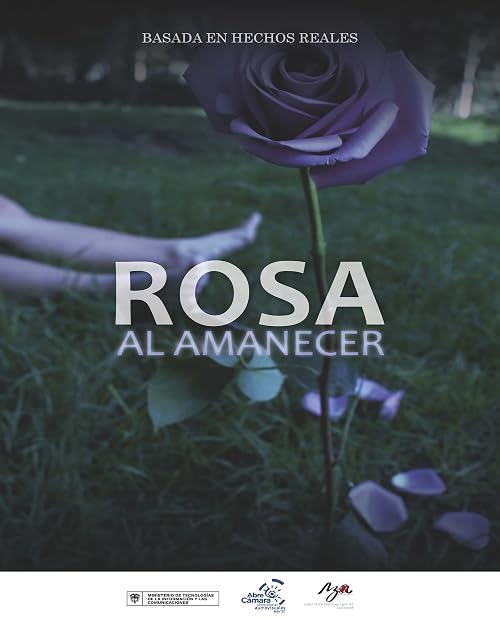 Rosa al amanecer
