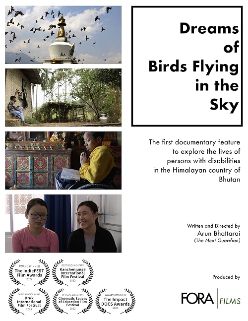 Dreams of Birds Flying in the Sky