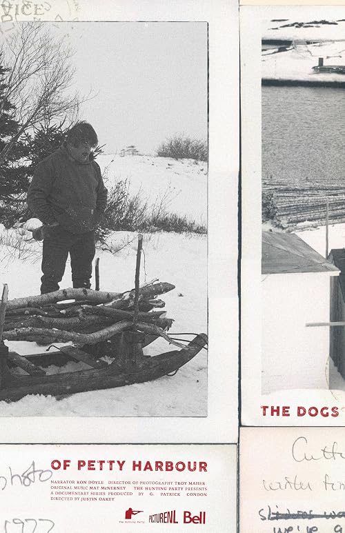The Dogs of Petty Harbour