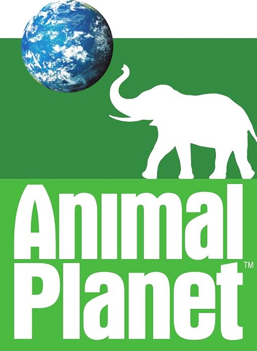 Animal Planet Sporthorse Cup II