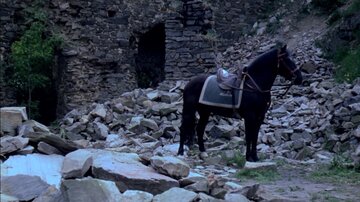 Bild aus dem Film