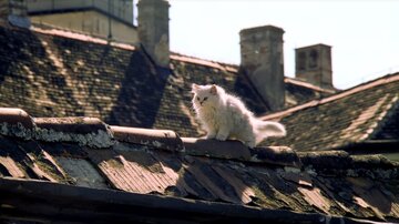 Bild aus dem Film