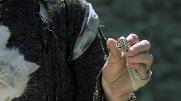Bild aus dem Film