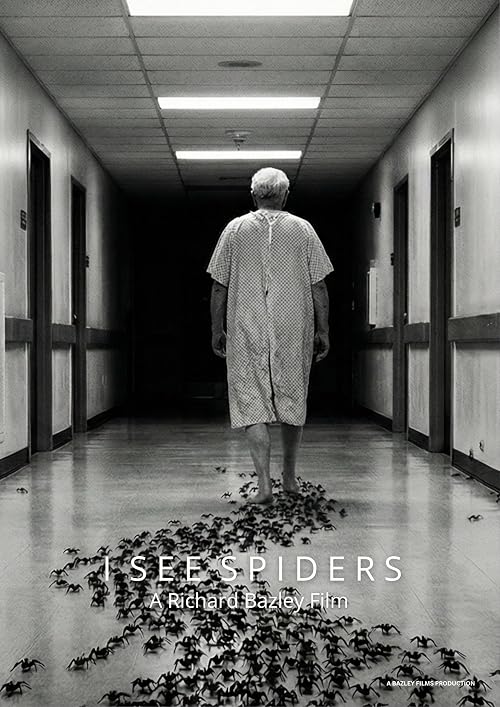 I See Spiders