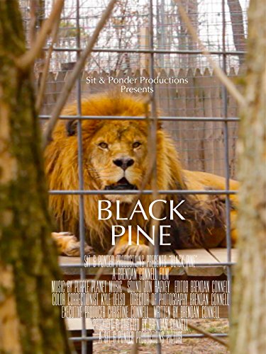 Black Pine