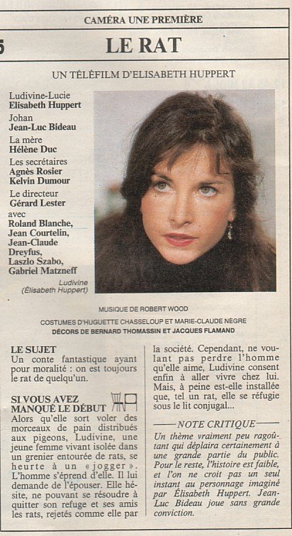 Le rat