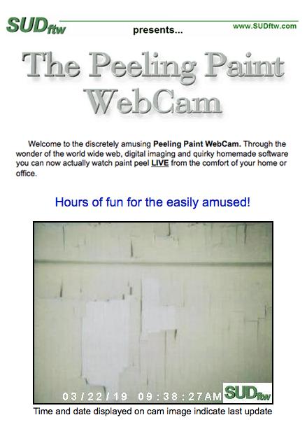 The Peeling Paint WebCam