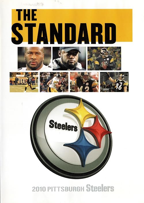 The Standard: The Story of the 2010 Pittsburgh Steelers
