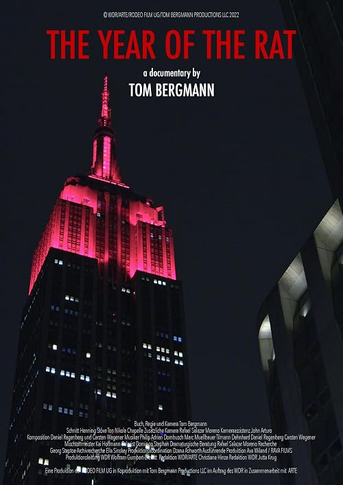New York im Jahr der Ratte