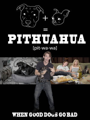 Pithuahua