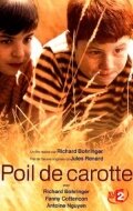 Poil de carotte