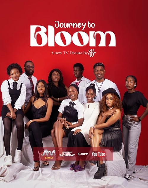 Journey to Bloom