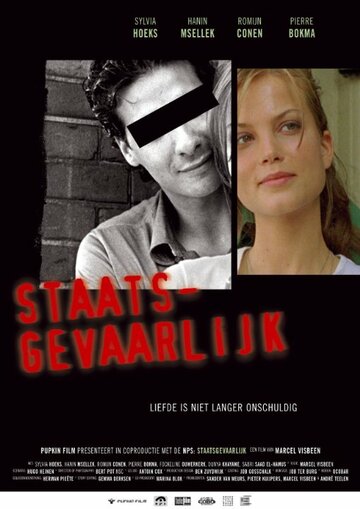 Staatsgevaarlijk
