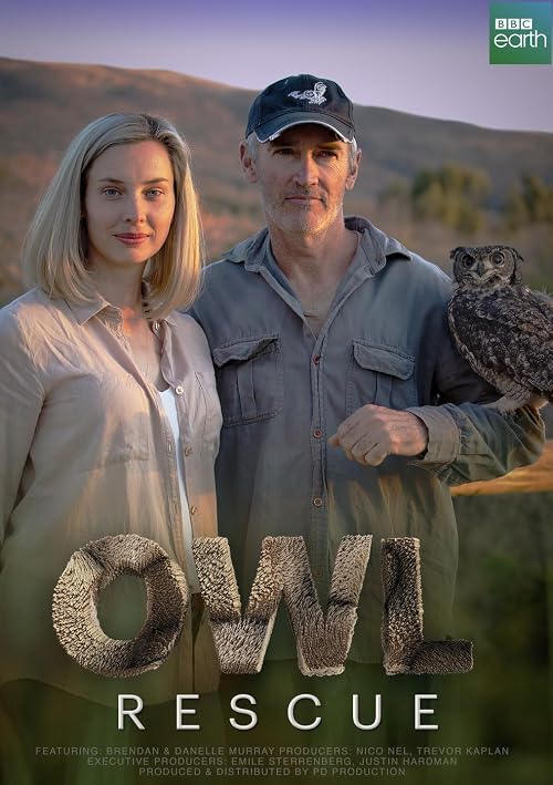Owl Rescue
