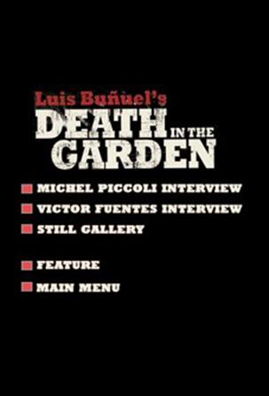 Victor Fuentes Interview
