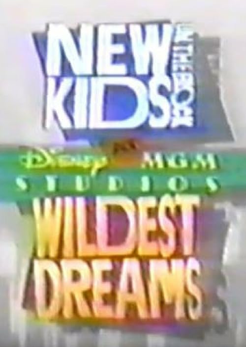 New Kids on the Block at Disney-MGM Studios: Wildest Dreams