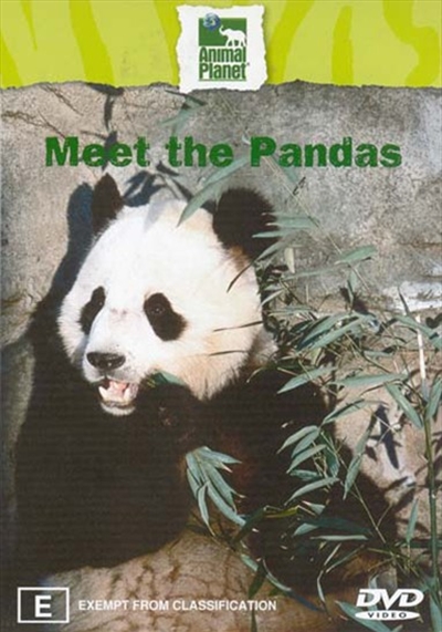 Meet the Pandas