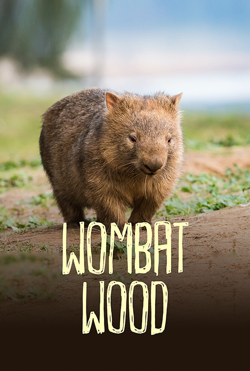 Wombat Journey