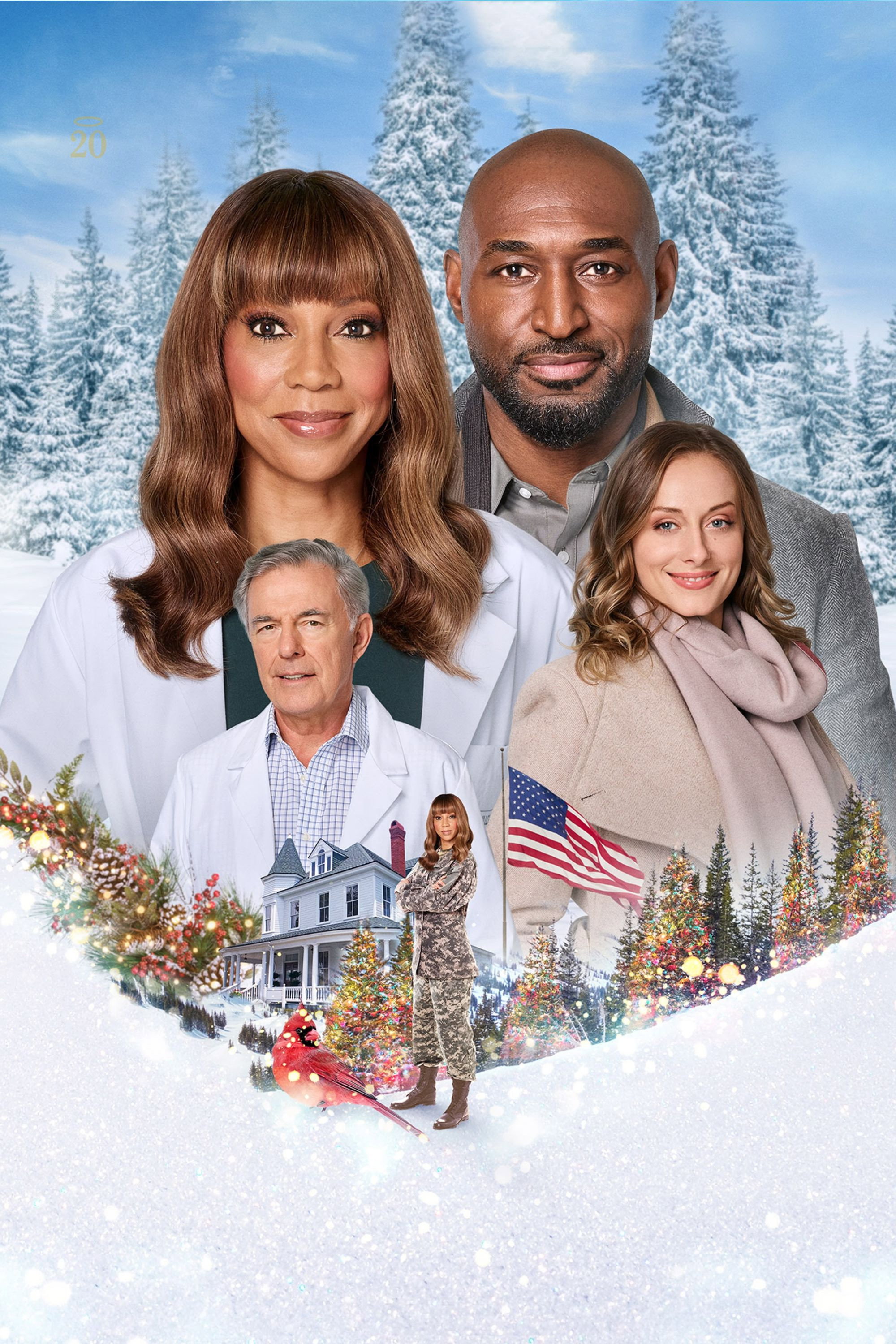 The Christmas Doctor