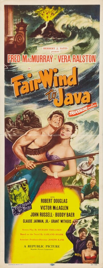 Der Rebell von Java