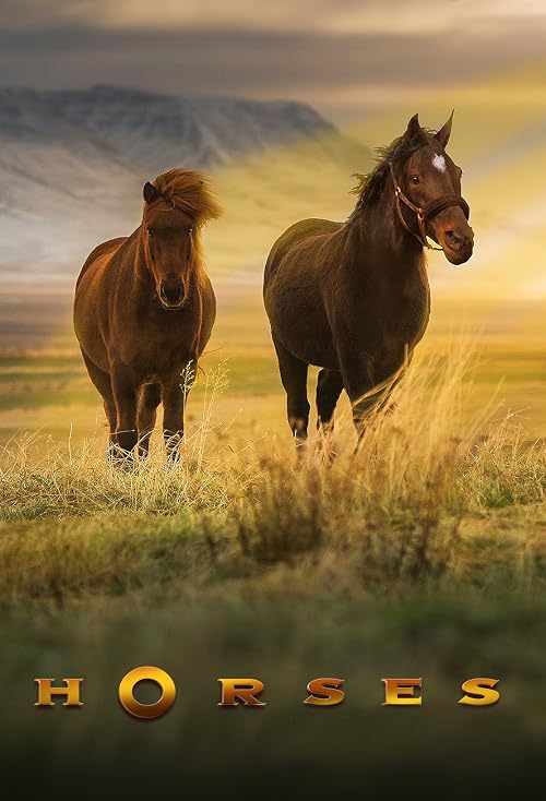 Horses