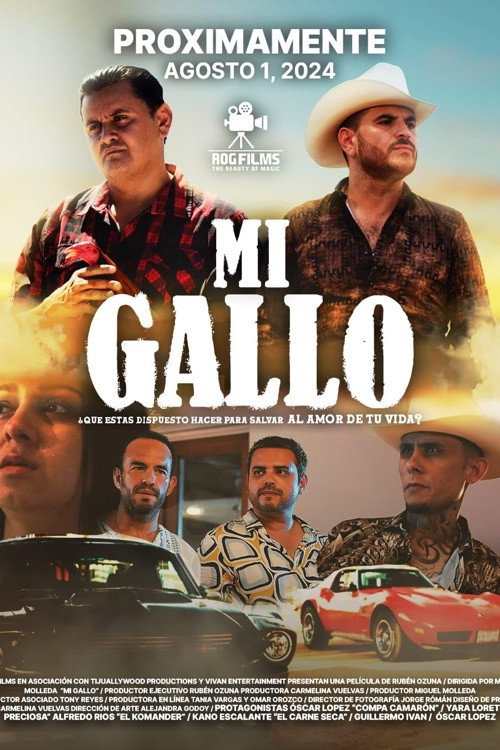 Mi gallo
