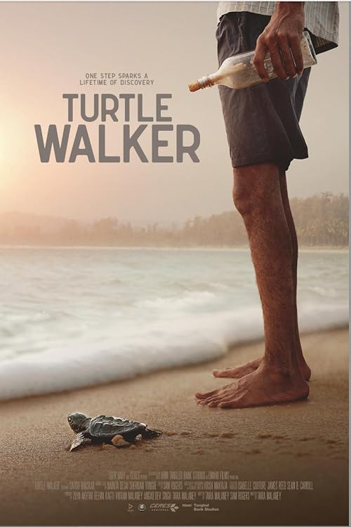 Turtle Walker