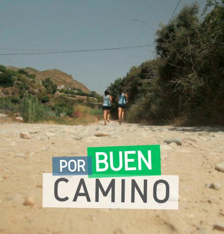 Por buen camino
