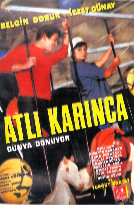 Atli karinca dönüyor