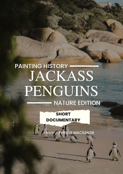 Jackass Penguins