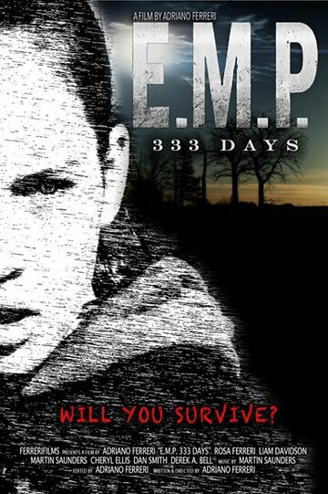 E.M.P.: 333 Days