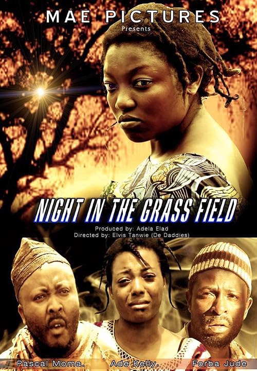 Night in the Grass Field