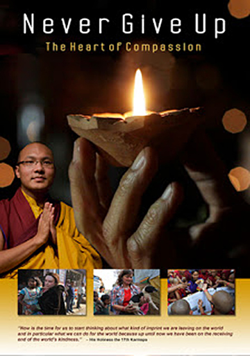 Never Give Up: The Heart of Compassion