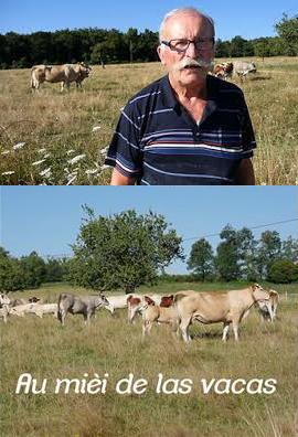 Au mièi de las vacas