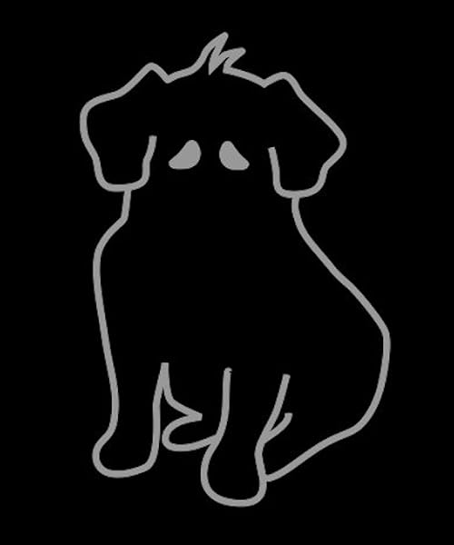 Lost Dog