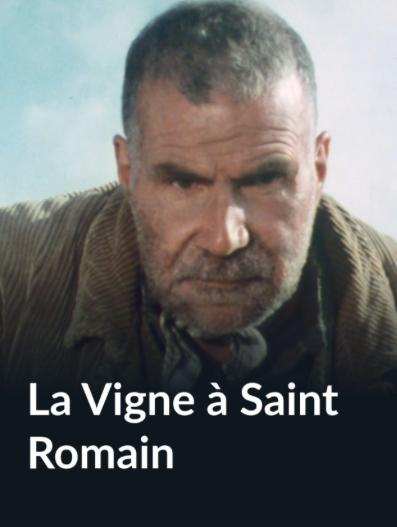 La vigne à Saint-Roman