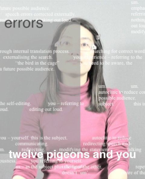 Twelve Pigeons and You