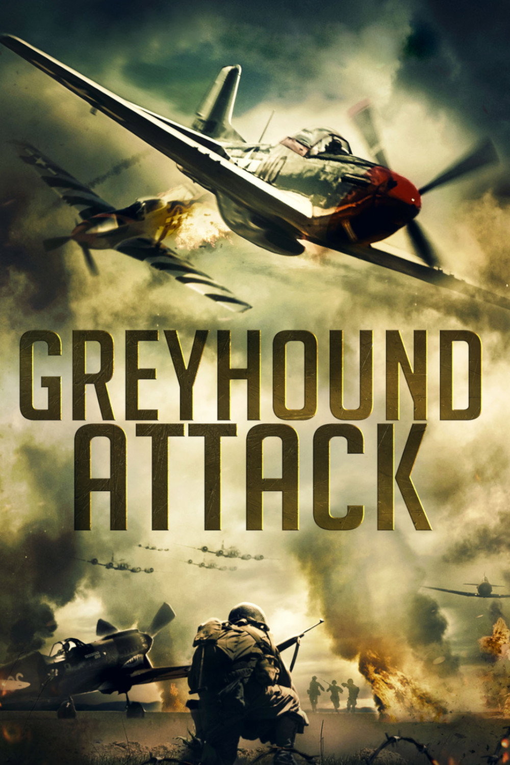 Greyhound Attack