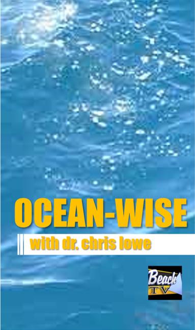 Oceanwise