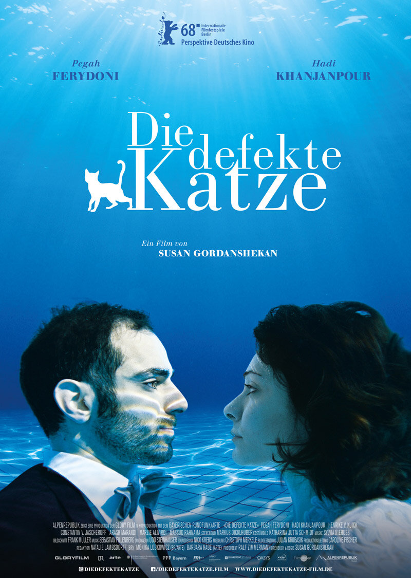 Die defekte Katze