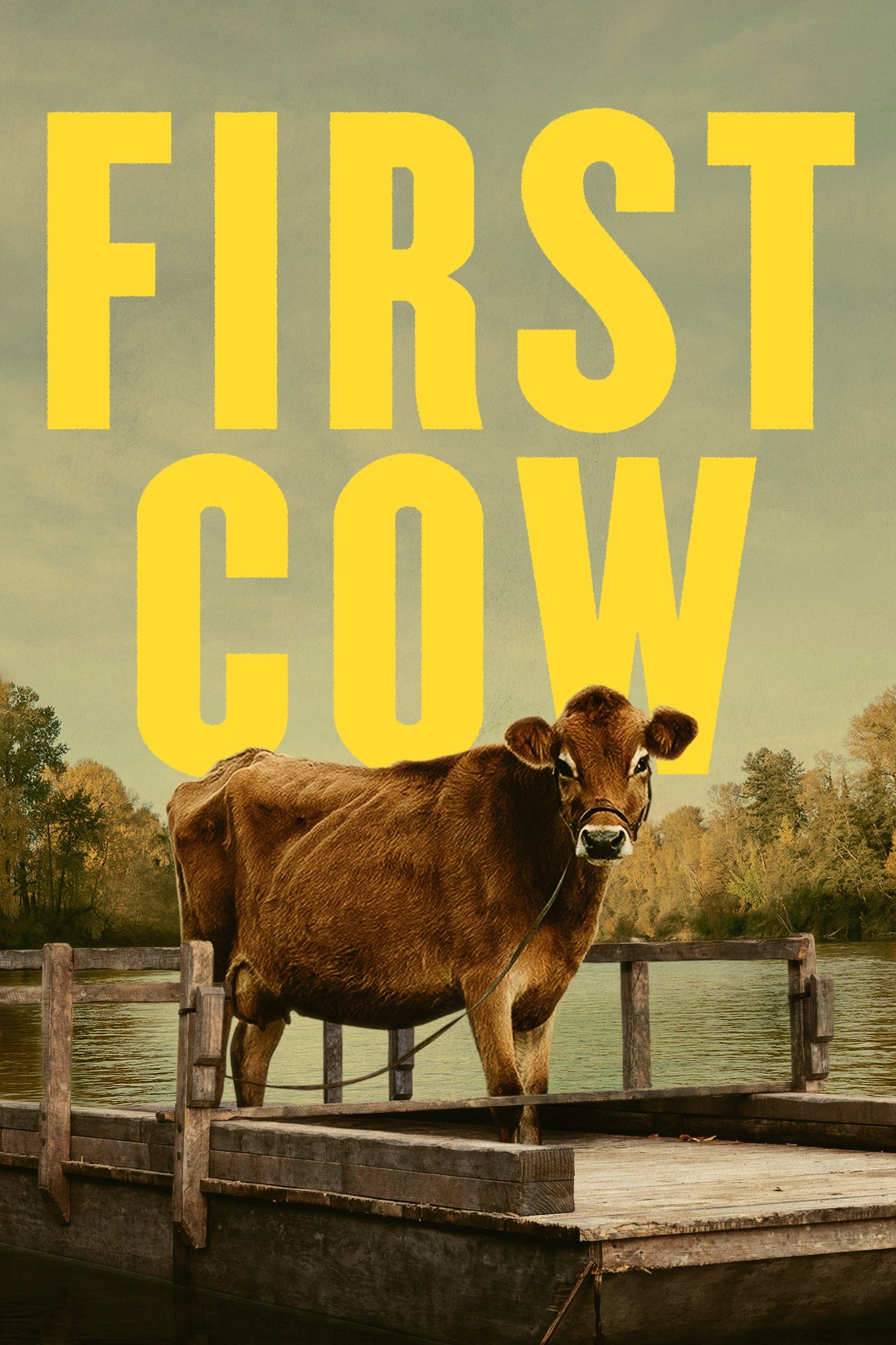 פרה ראשונה