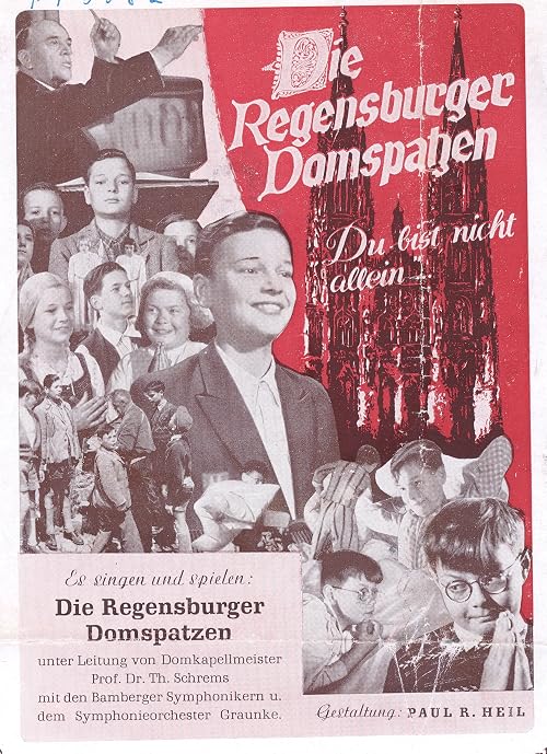 Die Regensburger Domspatzen
