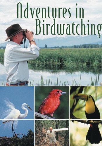 Adventures in Birdwatching