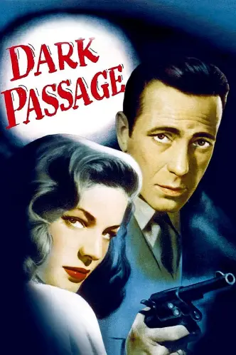 Dark Passage